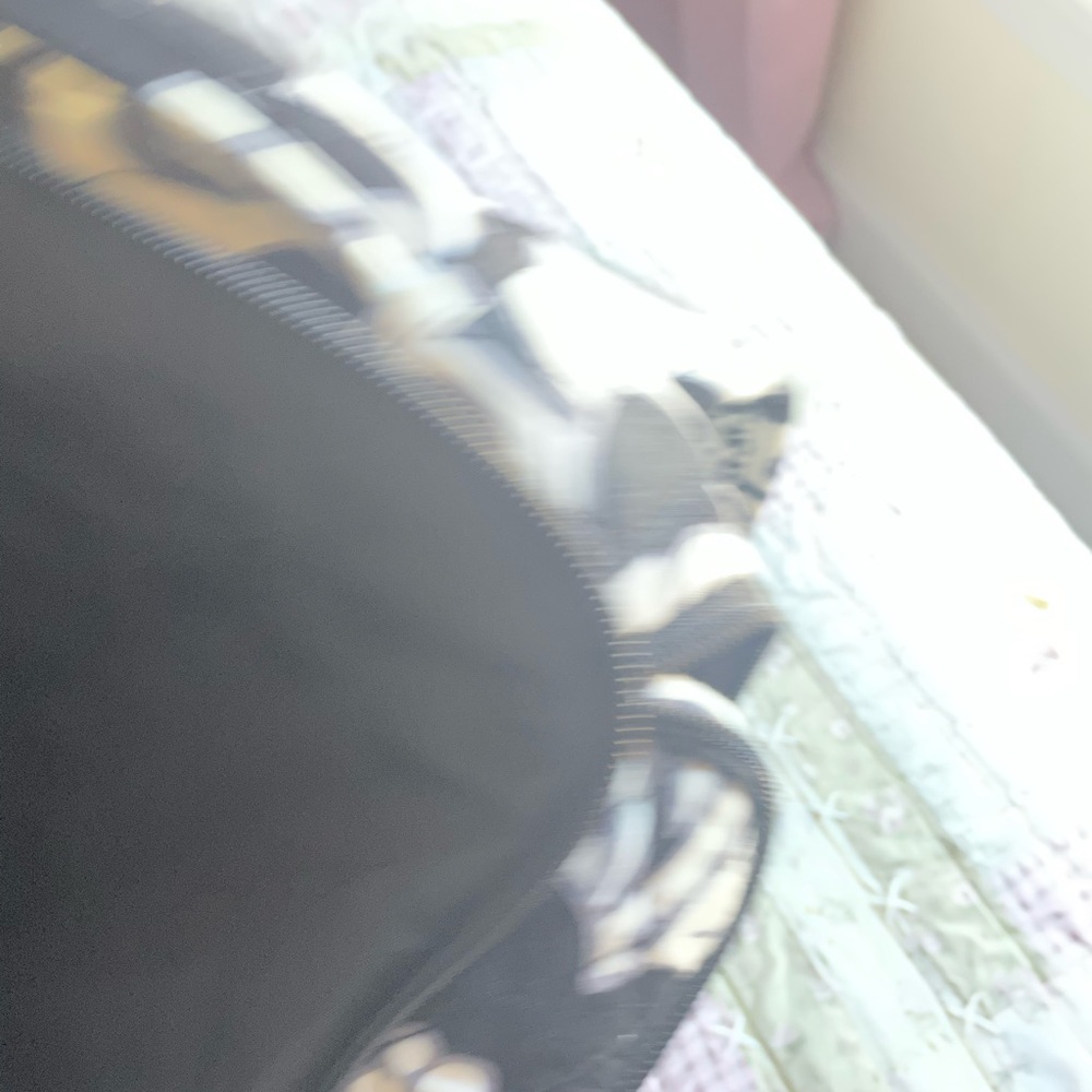 Vera Bradley Black and White Quilted Floral Backpack - Picture 6 of 7